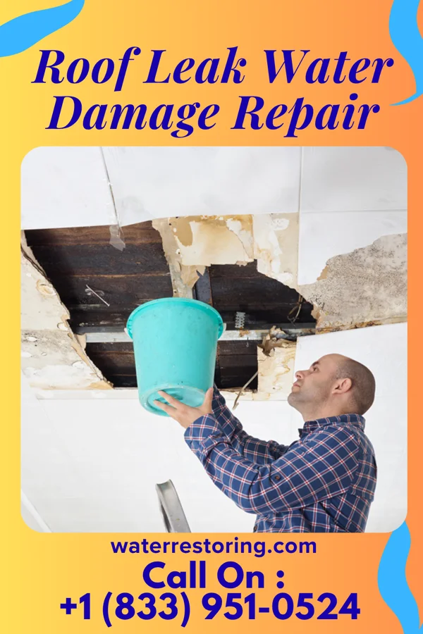 Roof Leak Water Damage Repair in Mount Auburn, IA