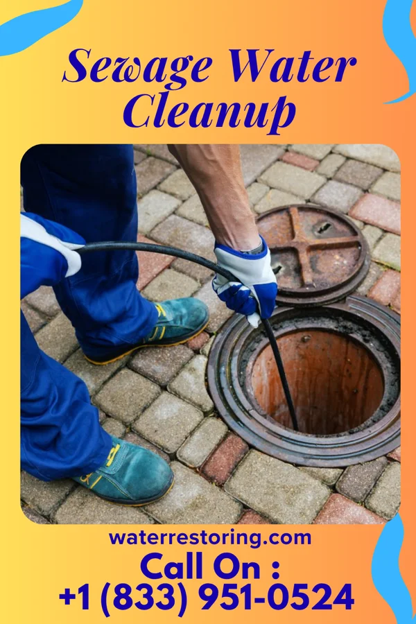 Sewage Water Cleanup in Mount Auburn, IA